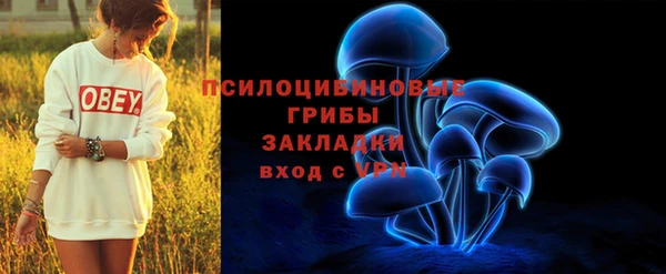 наркотики Гусь-Хрустальный