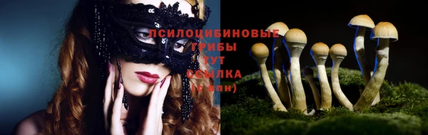 амф Магадан
