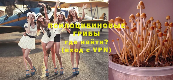 твердый Майский