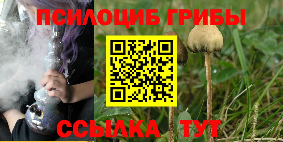 как найти   Галлюциногенные грибы мицелий  Галлюциногенные грибы Psilocybine cubensis  Вход с VPN  Нерюнгри 